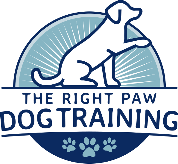 The Right Paw Dog Training | Dog Behaviour Expert Norwich